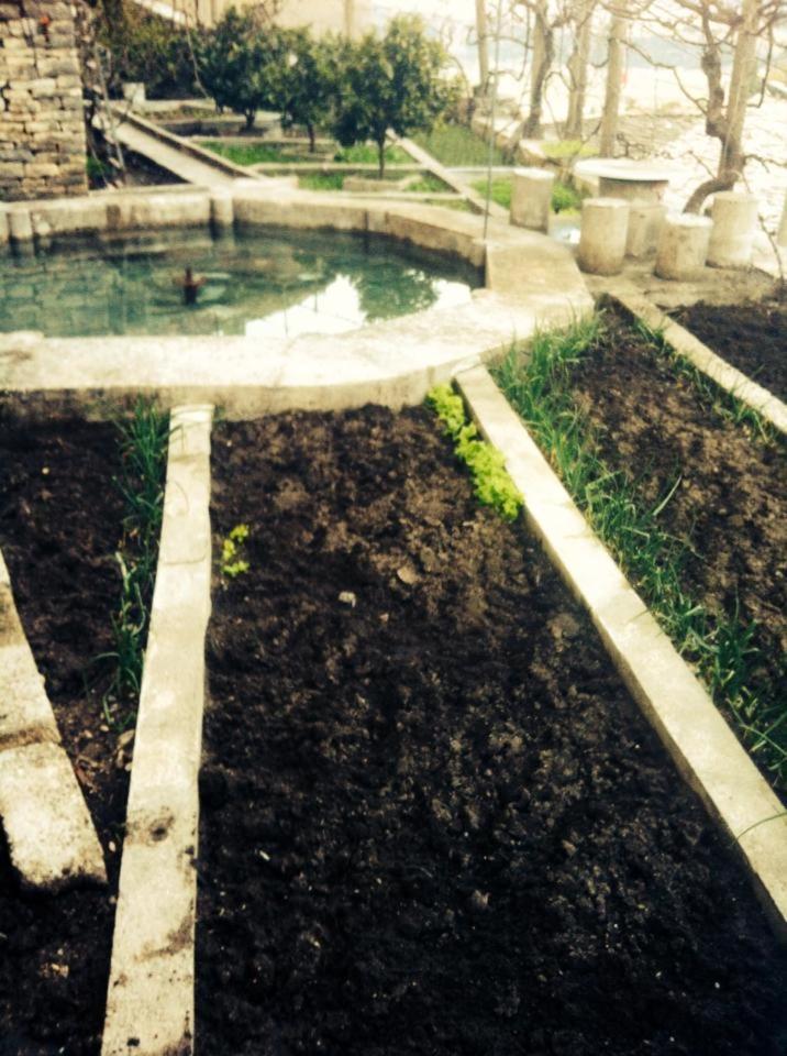Cela Guest house *